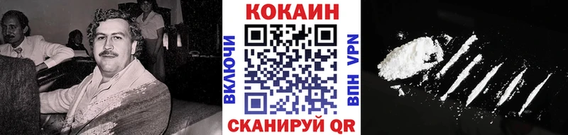 цена наркотик  Циолковский  Кокаин Fish Scale 