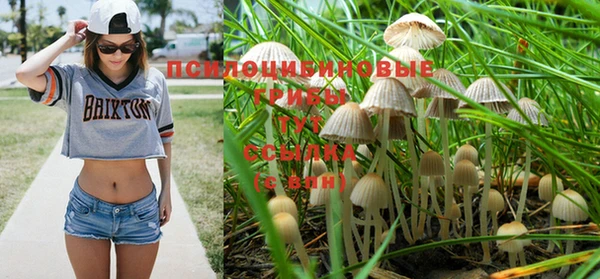 спиды Абаза