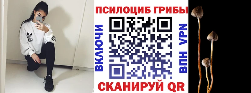 Галлюциногенные грибы Psilocybine cubensis Циолковский